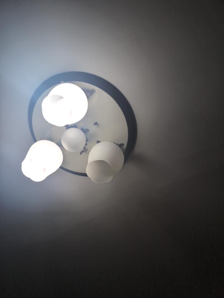 燈具維修案件圖片