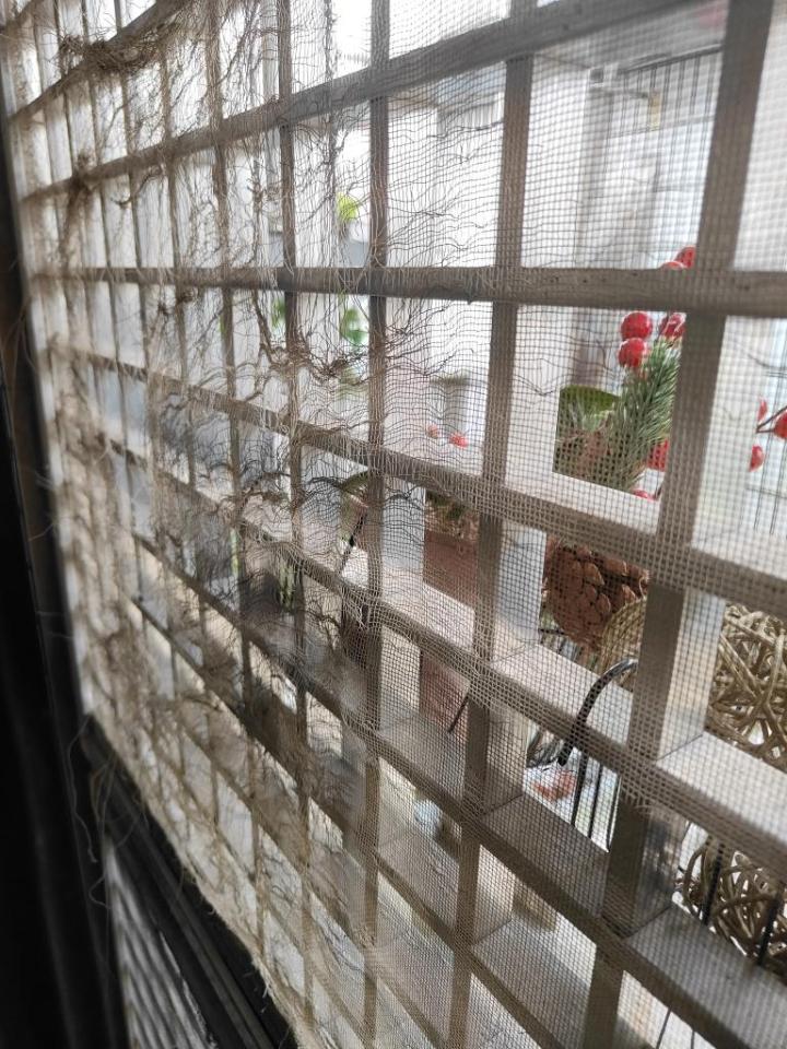 紗窗裝修案件圖片