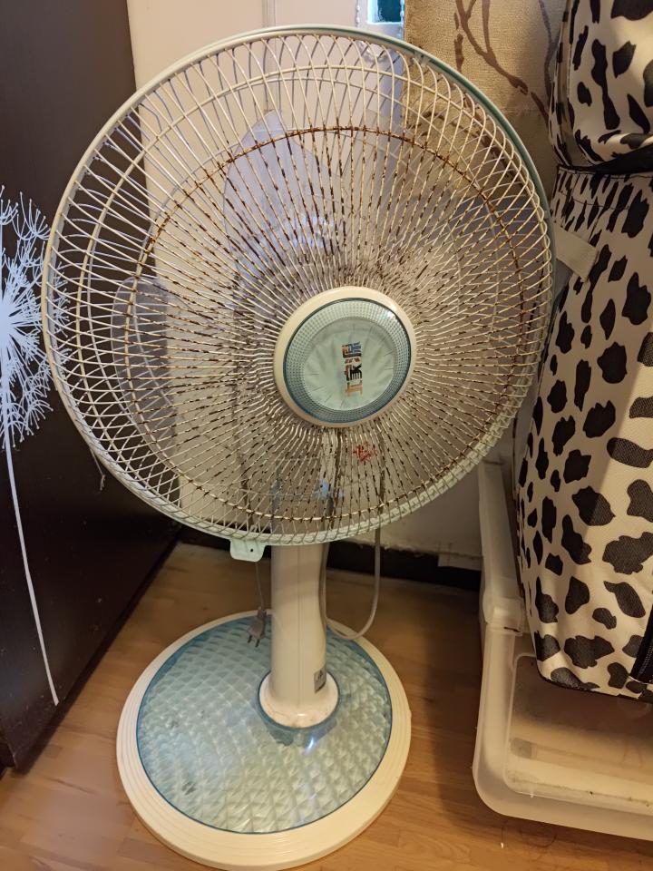 大型垃圾回收案件圖片