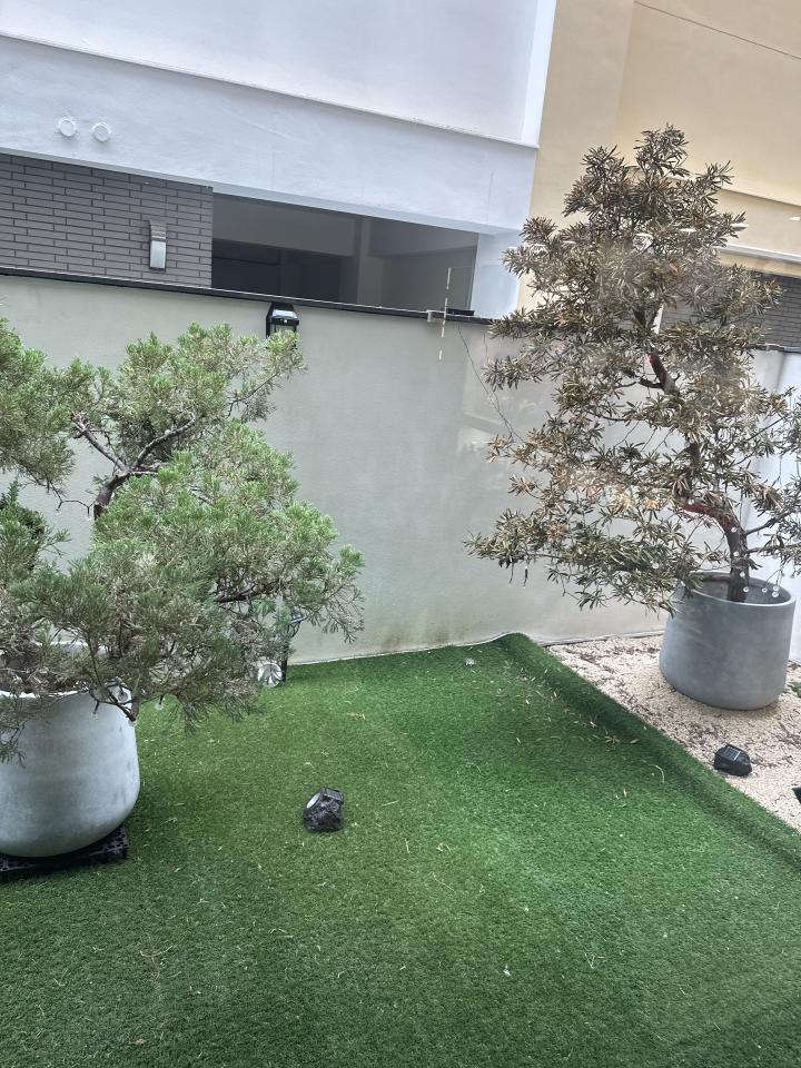 植物診療師案件圖片