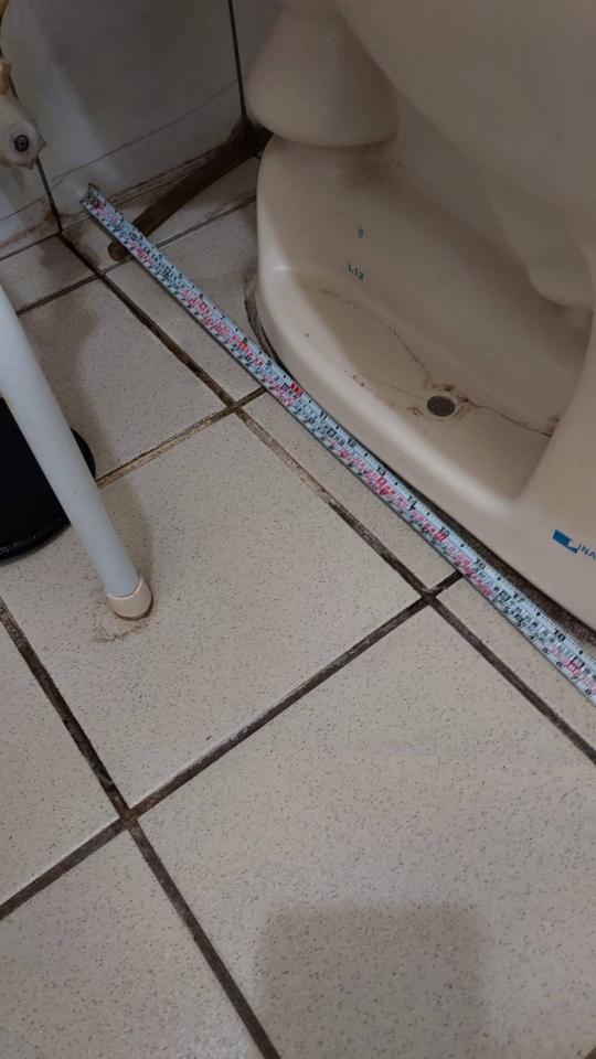 馬桶裝修案件圖片