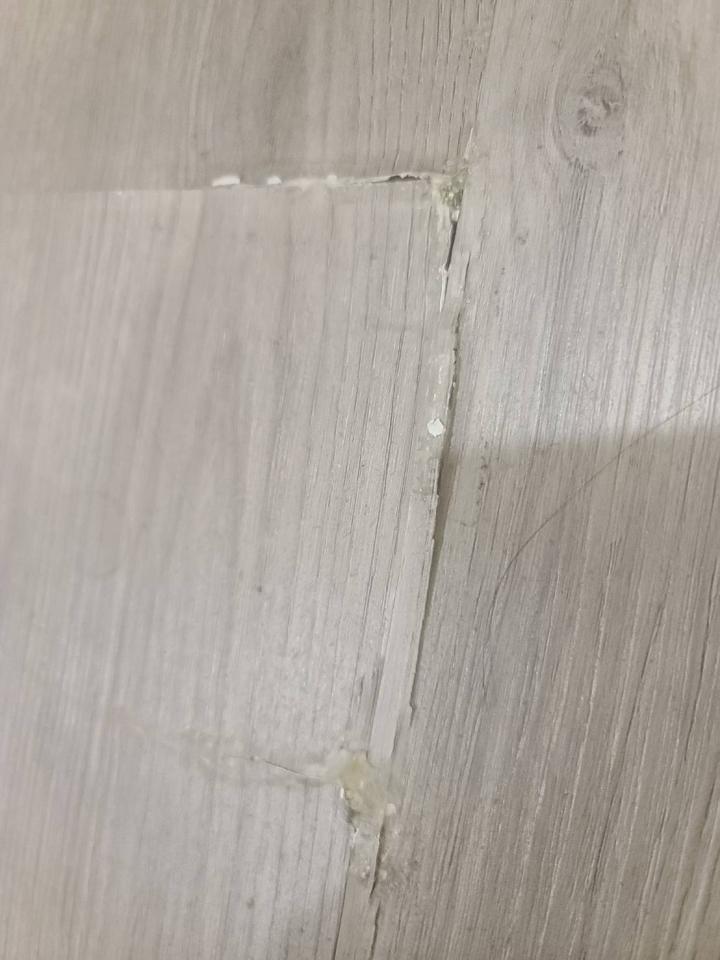 地板維修案件圖片