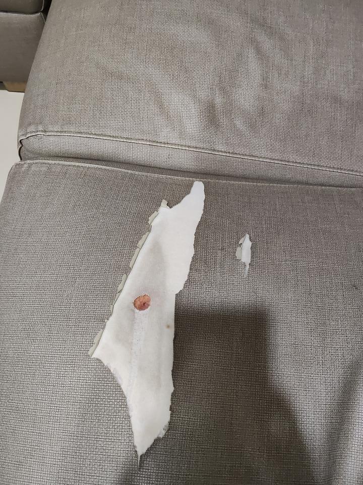 沙發修理案件圖片