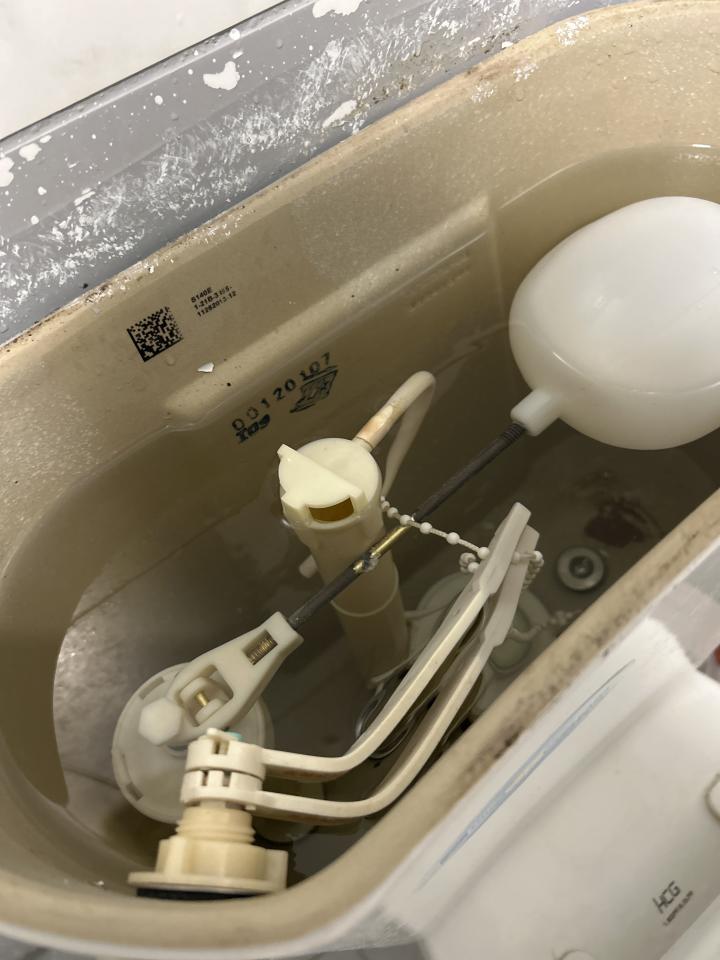 馬桶裝修案件圖片