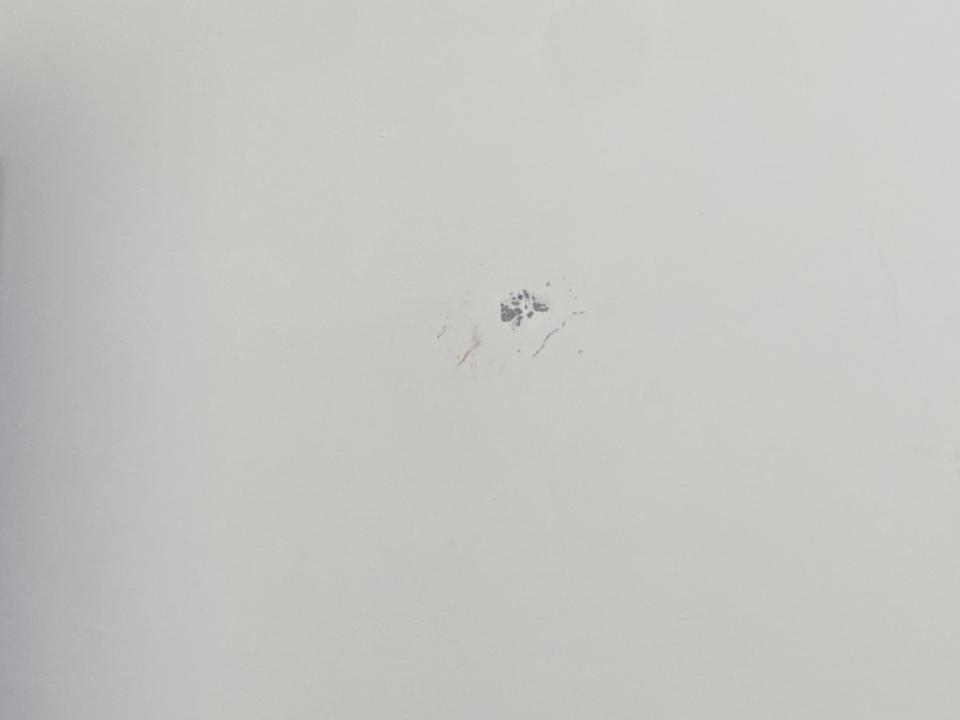 油漆工程案件圖片