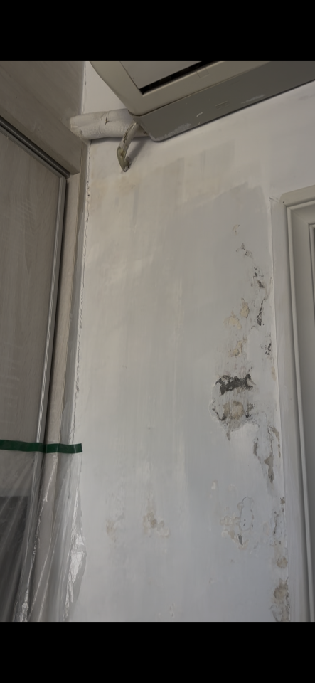 油漆工程案件圖片