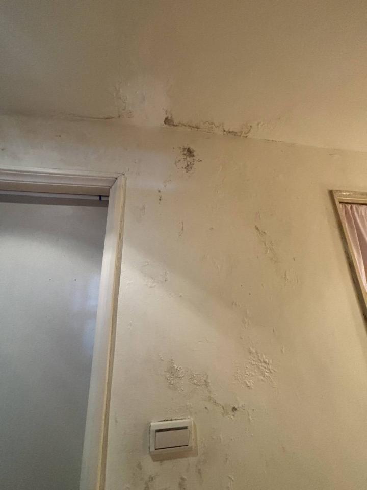 油漆工程案件圖片