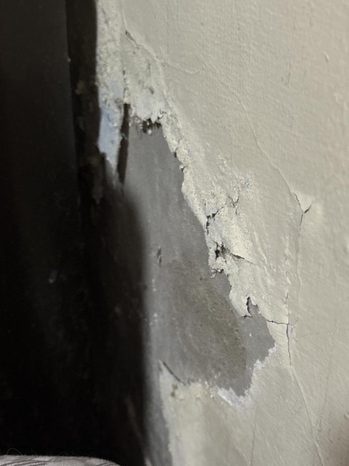 泥作/水泥施工案件圖片