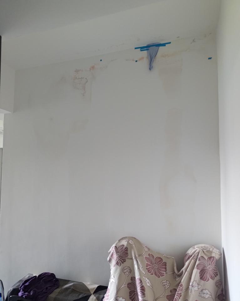 油漆工程案件圖片