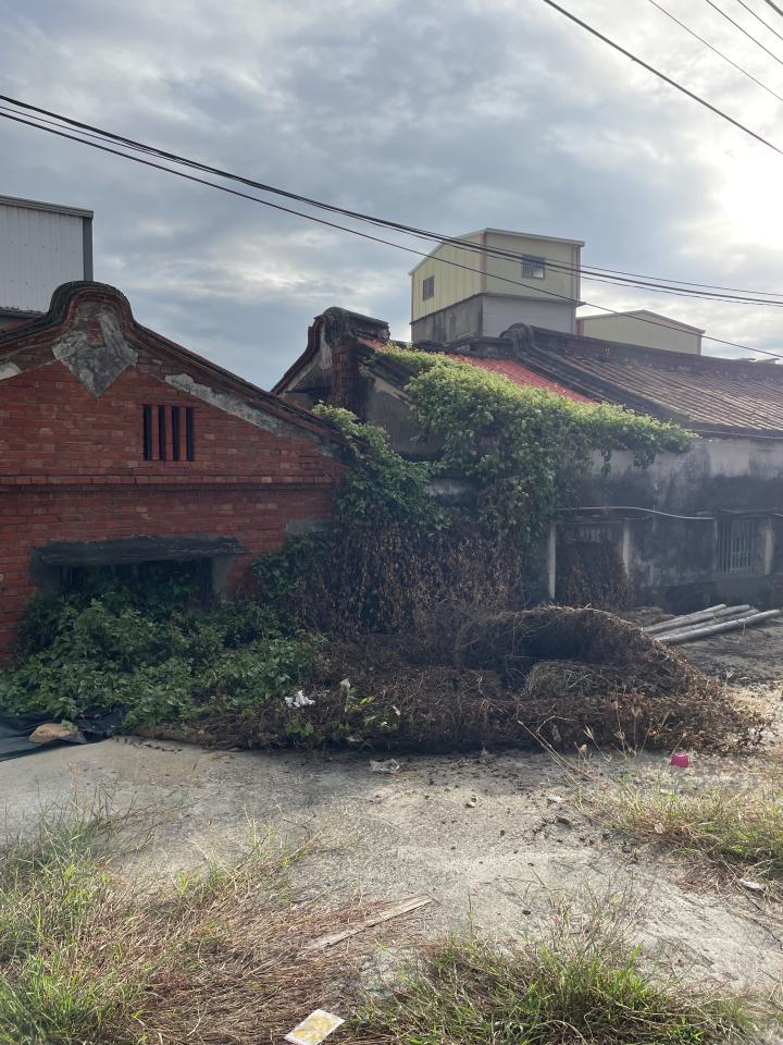 園藝維護案件圖片