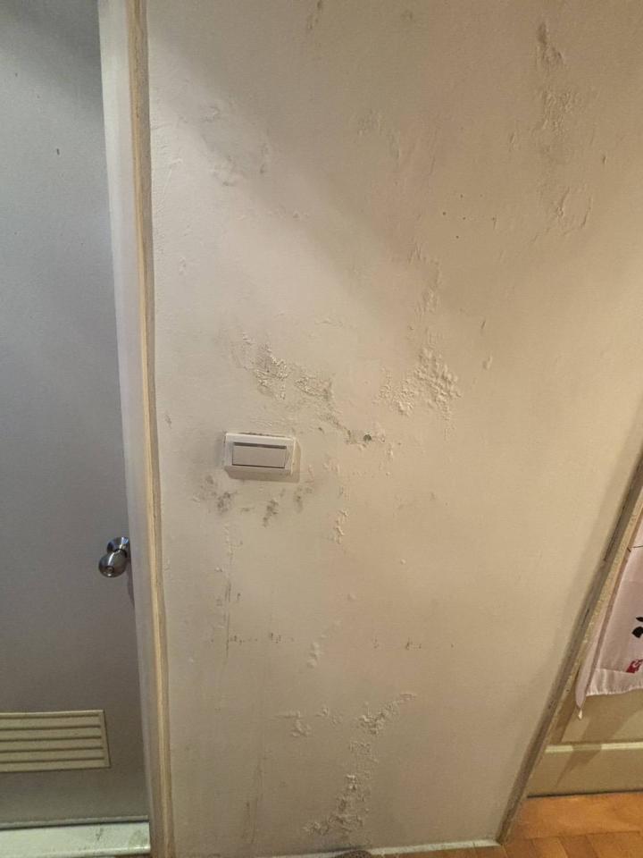 油漆工程案件圖片