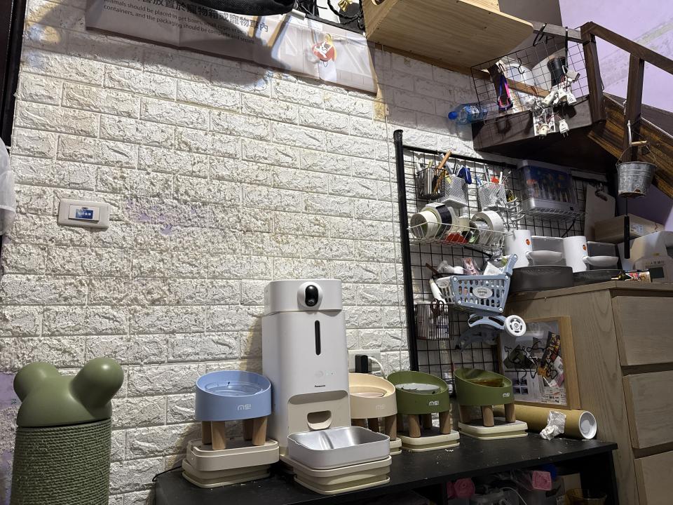 壁紙施工案件圖片