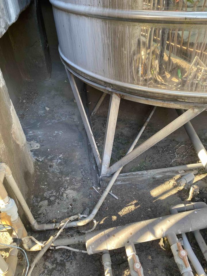 壁癌處理案件圖片