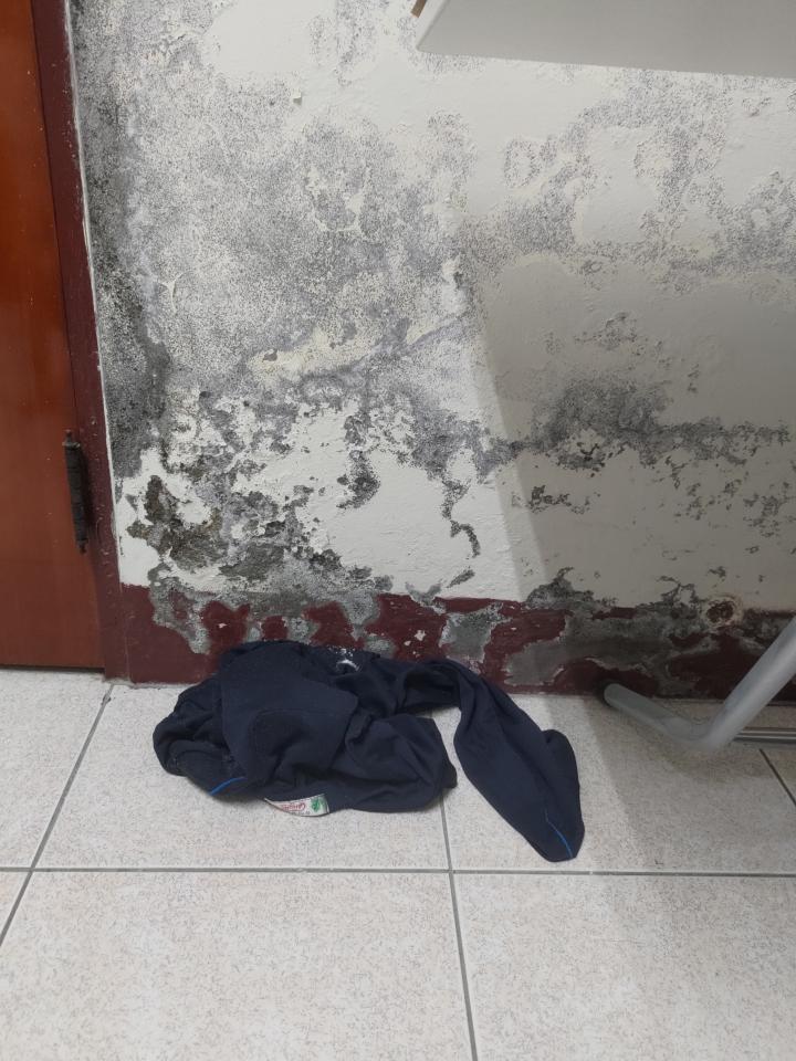 壁癌處理案件圖片