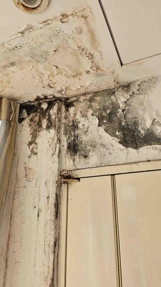 統包工程案件圖片