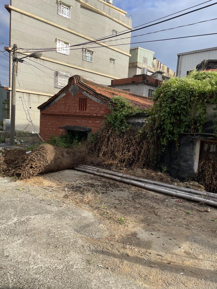 園藝維護案件圖片