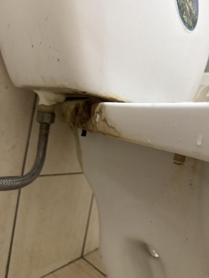 馬桶裝修案件圖片