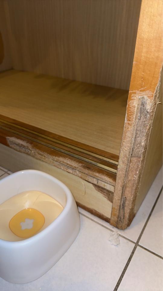 門片維修案件圖片