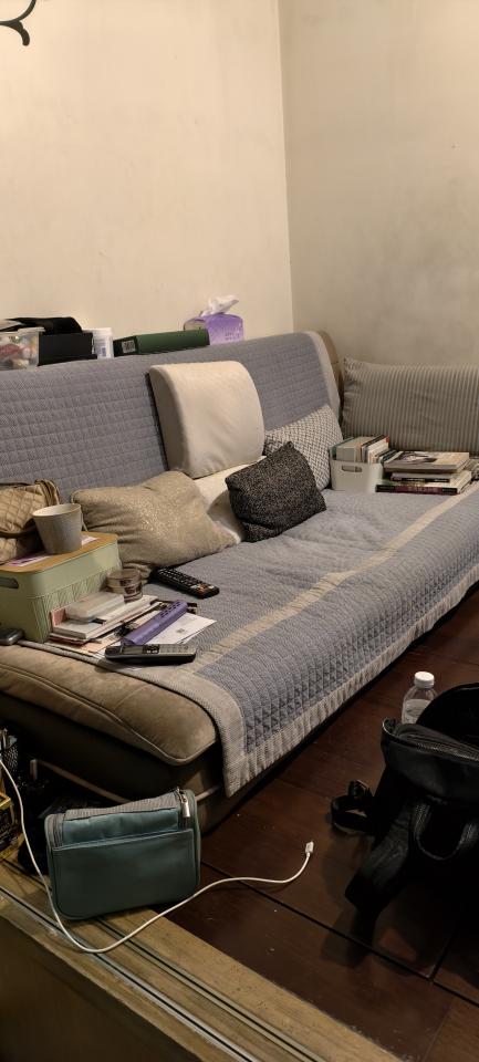 大型垃圾回收案件圖片