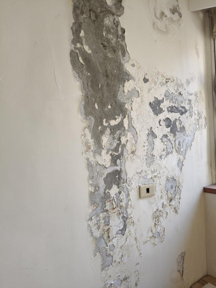 壁癌處理案件圖片