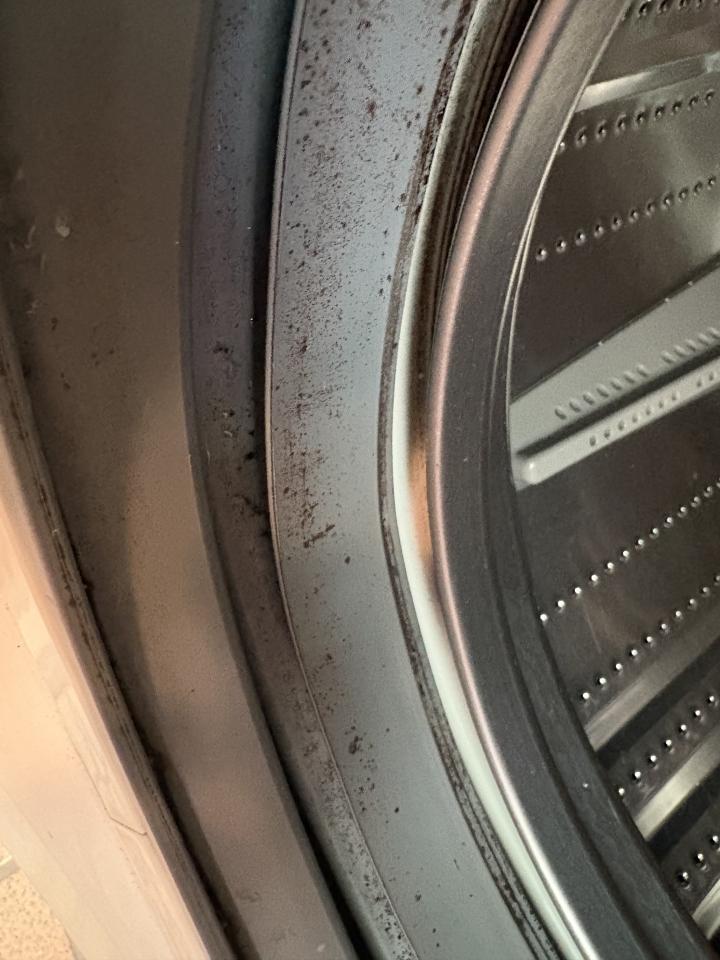 洗衣機清洗案件圖片