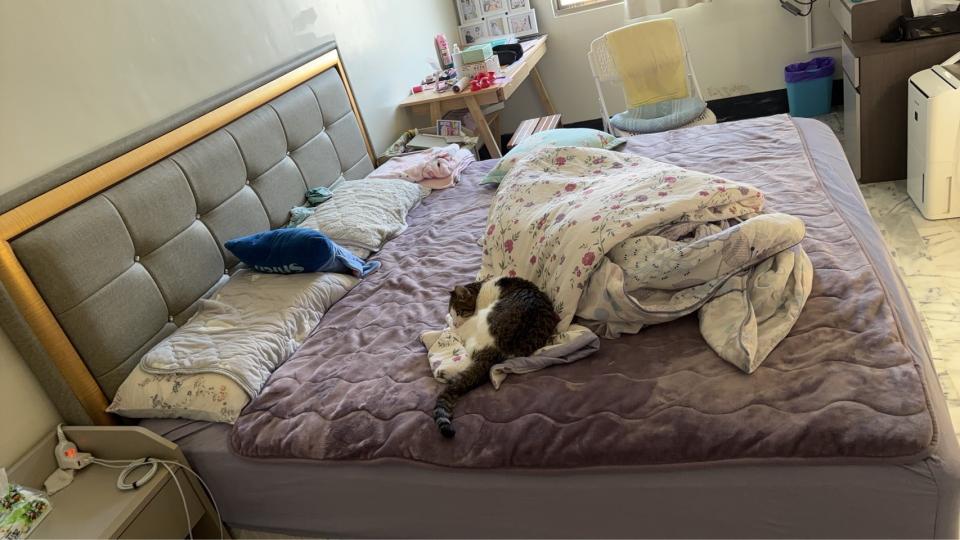 床墊搬運案件圖片