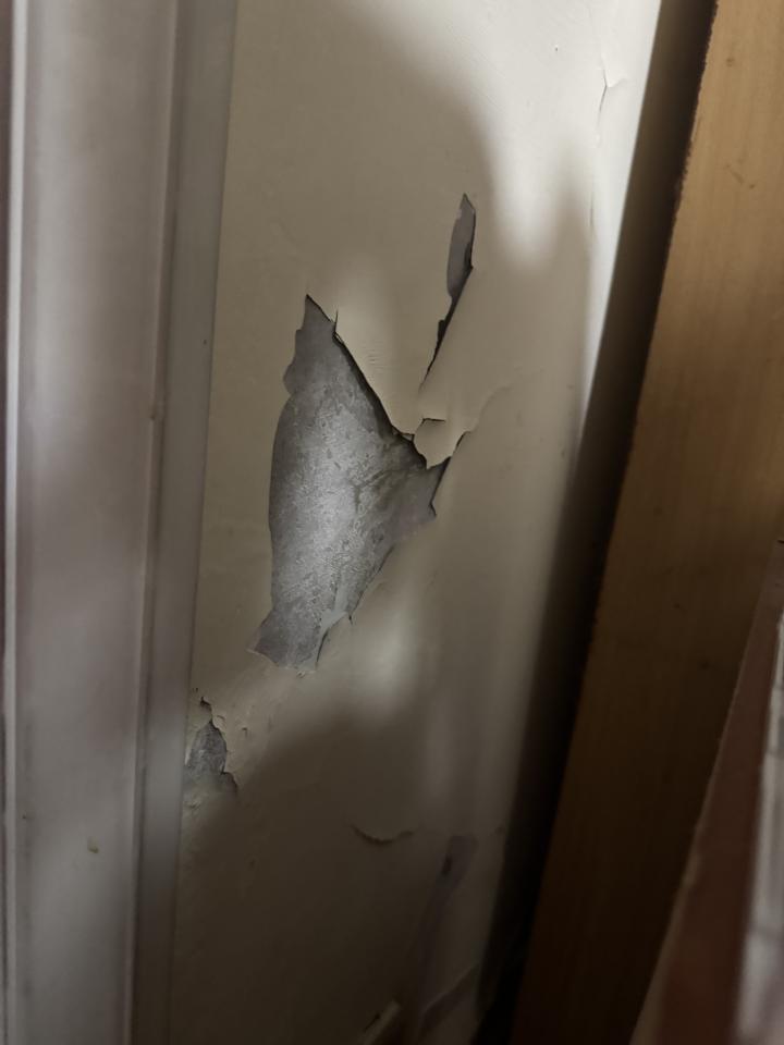 泥作/水泥施工案件圖片