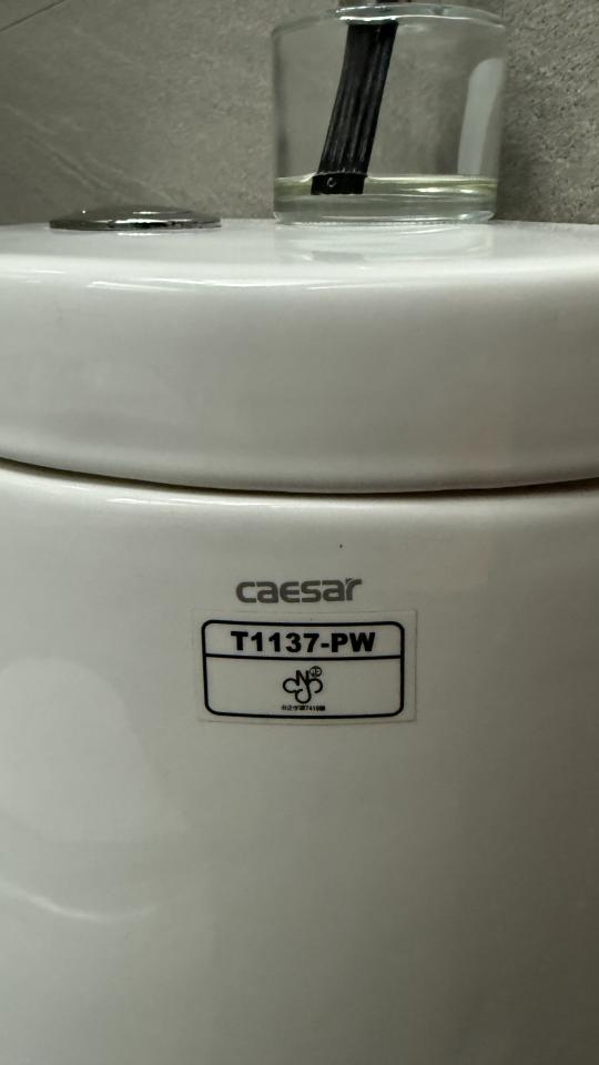 馬桶裝修案件圖片