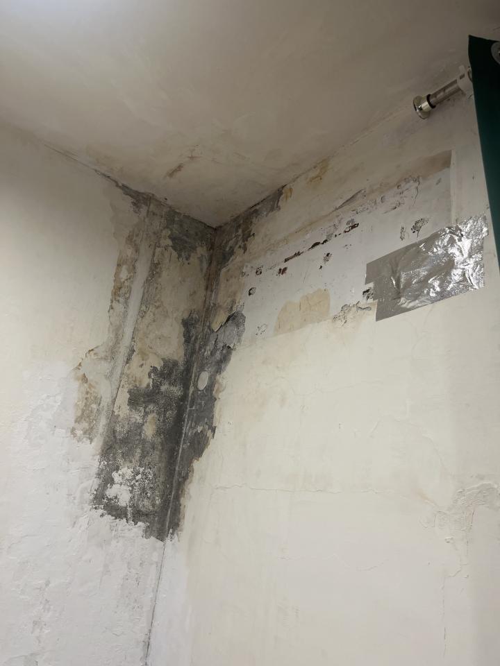 壁癌處理案件圖片