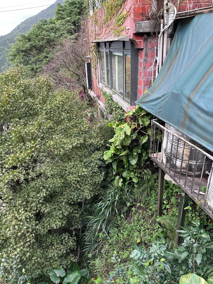 園藝維護案件圖片