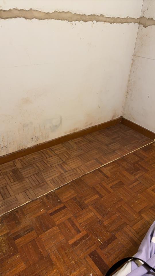 超耐磨木地板案件圖片