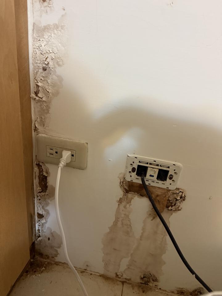 壁癌處理案件圖片