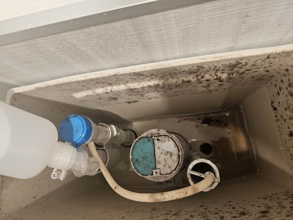 馬桶裝修案件圖片