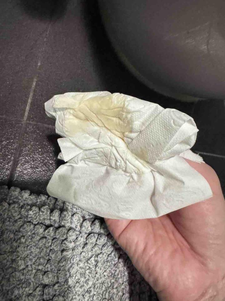 馬桶裝修案件圖片