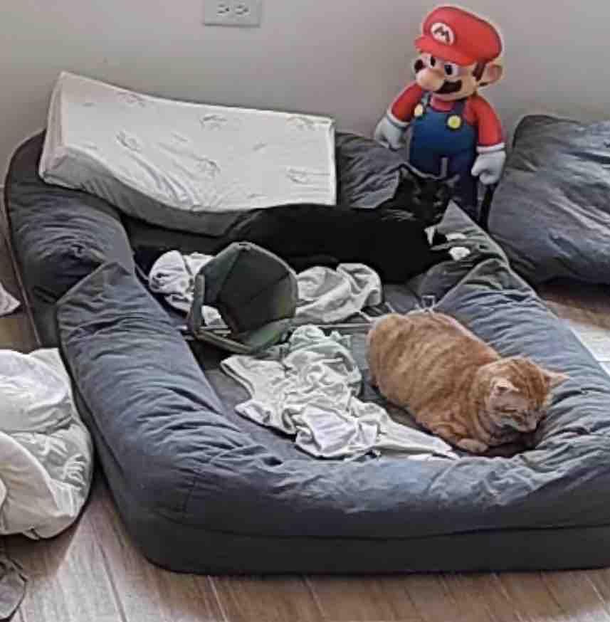 床墊搬運案件圖片