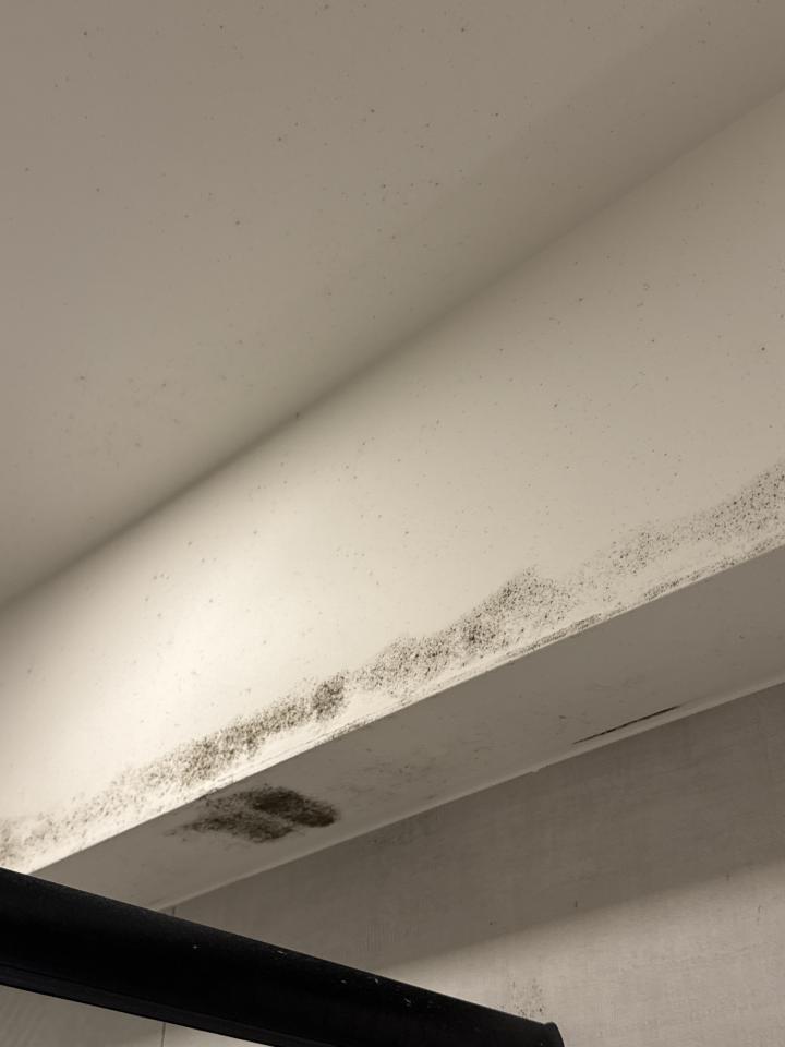 浴室除霉清潔案件圖片