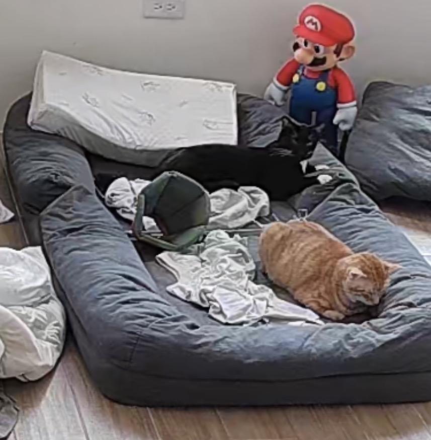 大型垃圾回收案件圖片