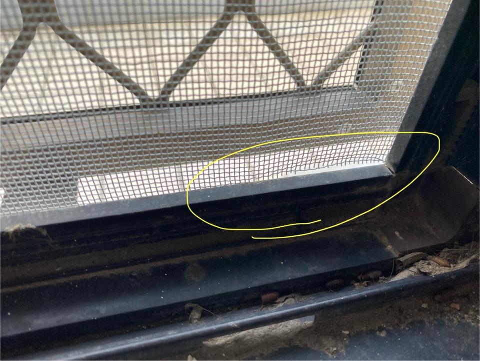 紗窗裝修案件圖片