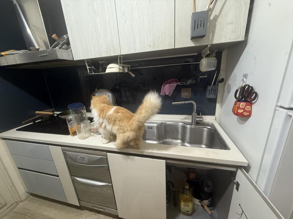 廚房水槽更換案件圖片