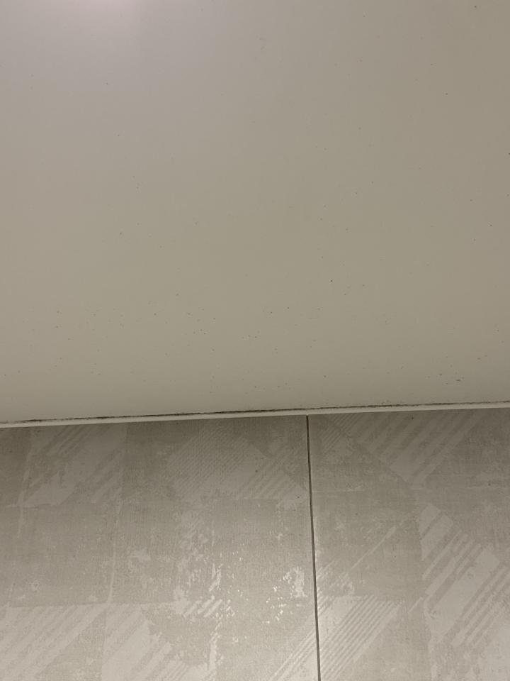 浴室除霉清潔案件圖片