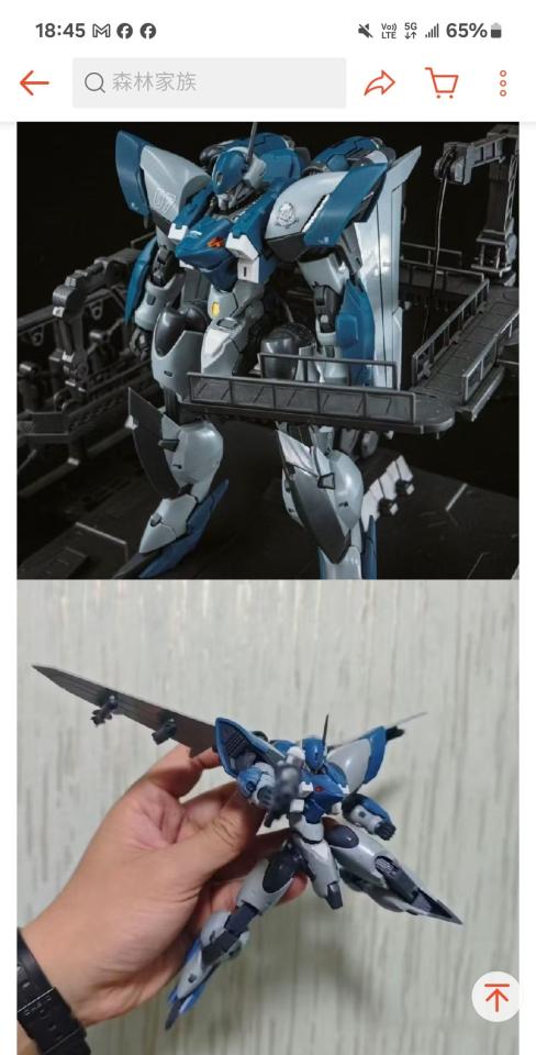 模型代工案件圖片