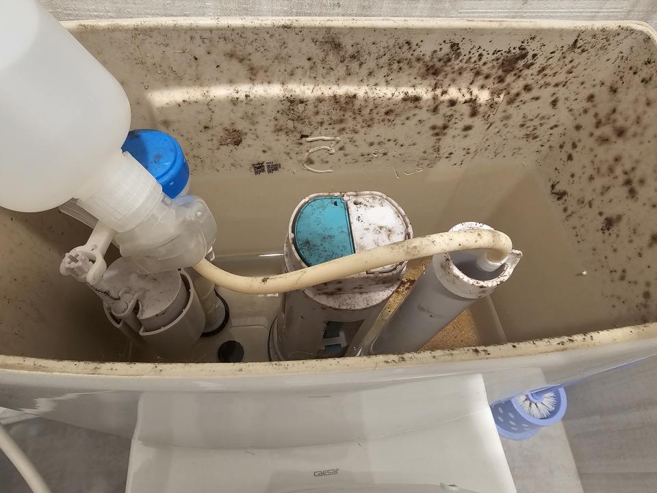 馬桶裝修案件圖片