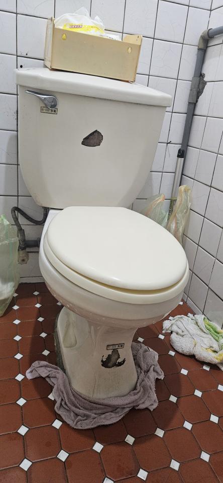 馬桶裝修案件圖片