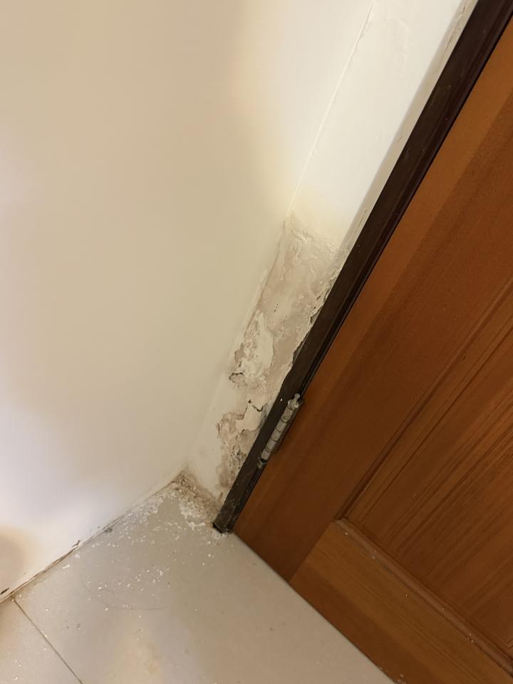 壁癌處理案件圖片