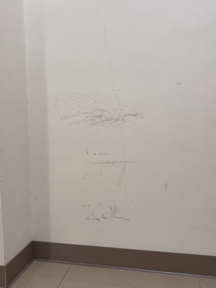 油漆工程案件圖片