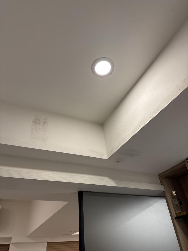 浴室除霉清潔案件圖片