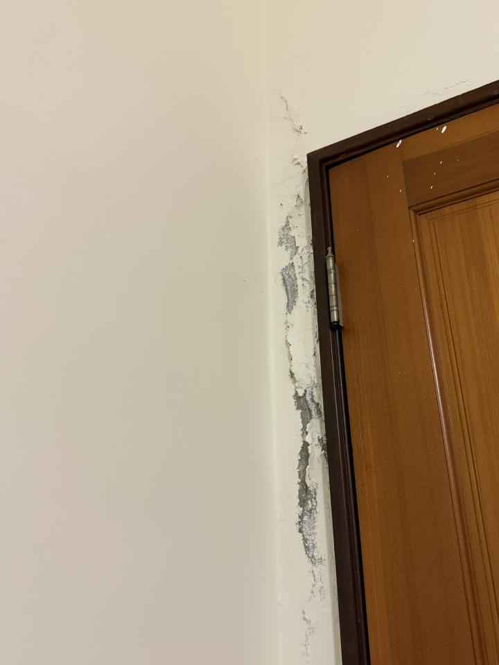 壁癌處理案件圖片