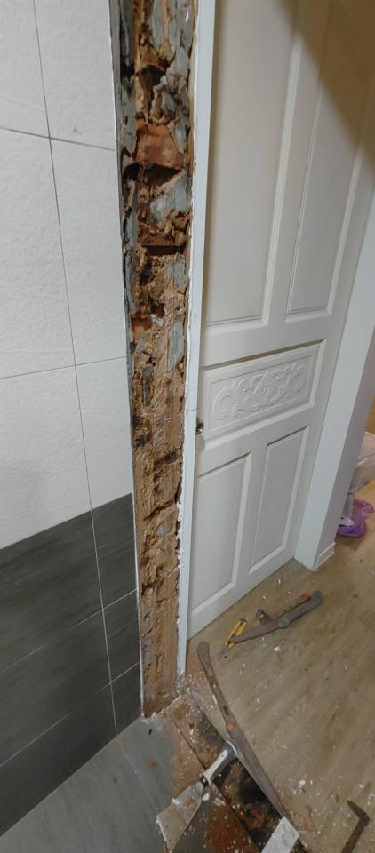 泥作/水泥施工案件圖片