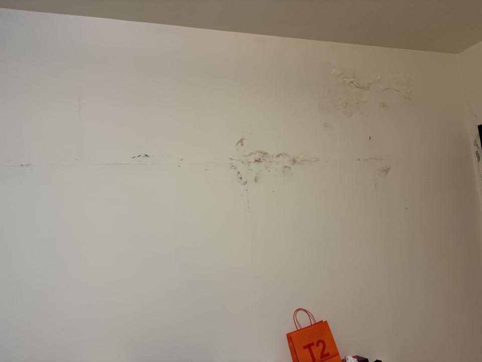 壁癌處理案件圖片