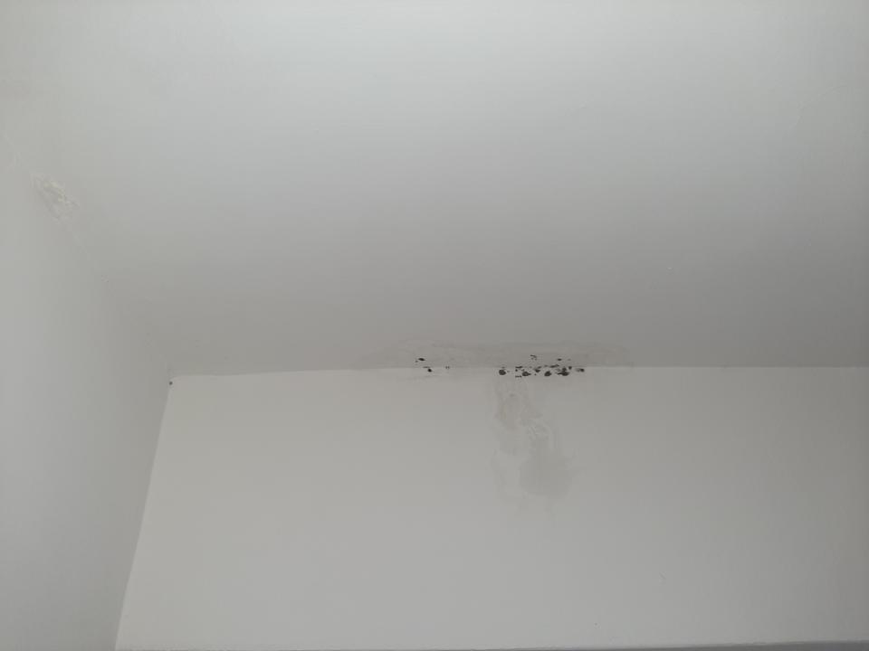 漏水處理案件圖片